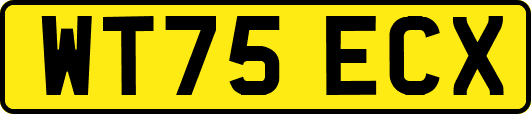 WT75ECX