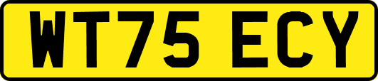 WT75ECY