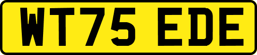 WT75EDE