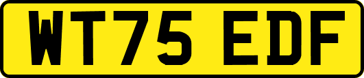 WT75EDF