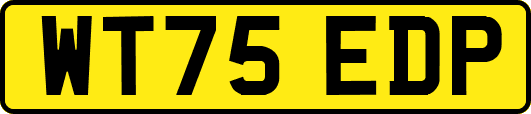 WT75EDP