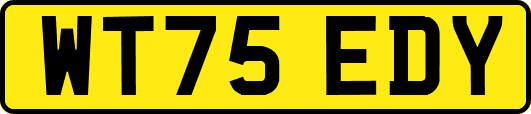WT75EDY