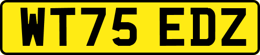 WT75EDZ