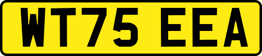 WT75EEA