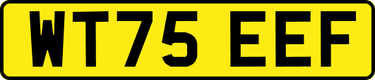 WT75EEF