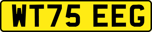 WT75EEG