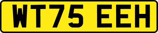 WT75EEH