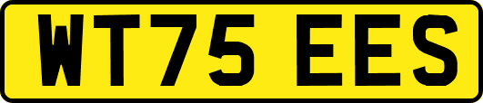 WT75EES