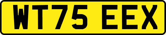 WT75EEX