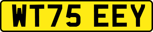 WT75EEY