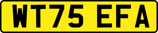 WT75EFA