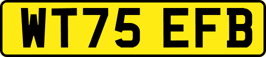 WT75EFB