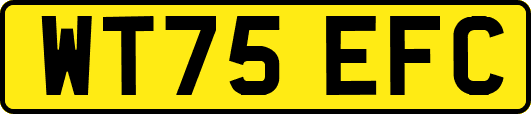 WT75EFC