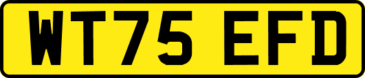 WT75EFD