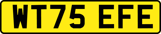 WT75EFE