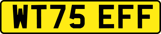 WT75EFF