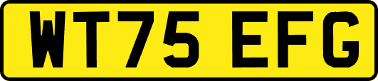 WT75EFG