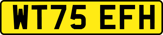 WT75EFH