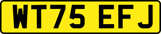 WT75EFJ