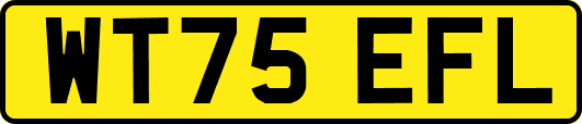 WT75EFL