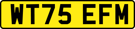 WT75EFM