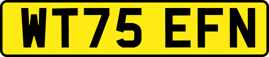 WT75EFN