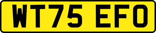 WT75EFO