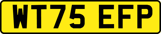 WT75EFP