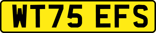 WT75EFS