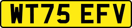 WT75EFV