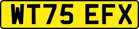 WT75EFX