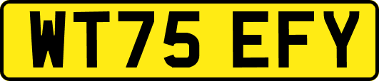 WT75EFY