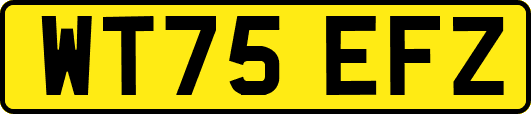 WT75EFZ