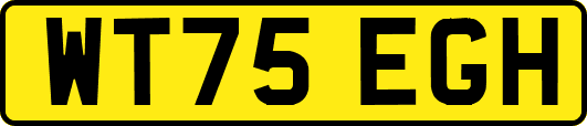 WT75EGH
