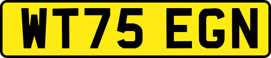 WT75EGN
