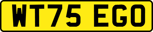 WT75EGO