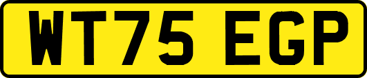 WT75EGP