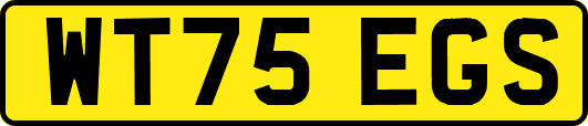 WT75EGS