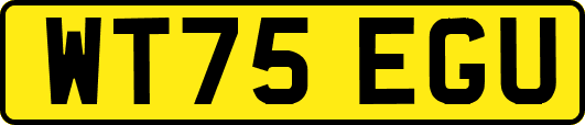 WT75EGU