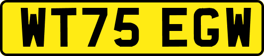 WT75EGW