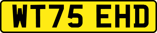 WT75EHD
