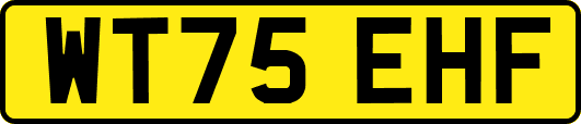 WT75EHF