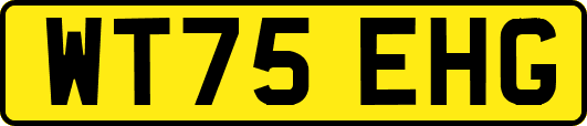 WT75EHG