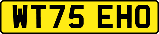 WT75EHO