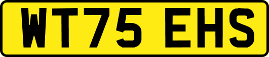 WT75EHS
