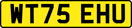 WT75EHU