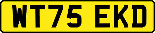 WT75EKD