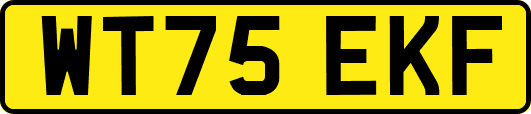 WT75EKF