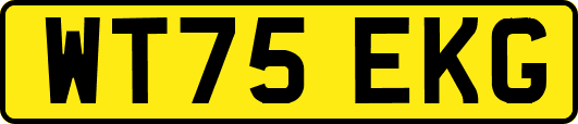 WT75EKG