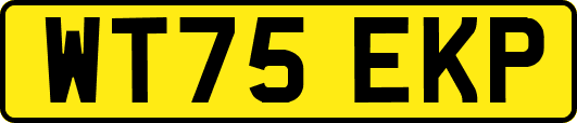 WT75EKP